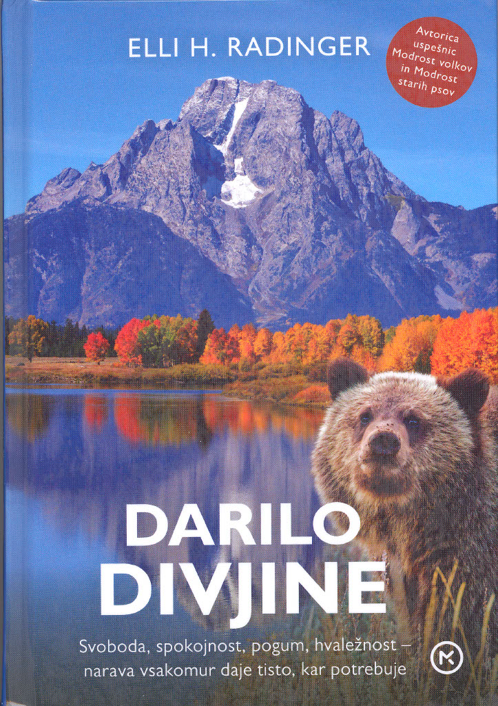 Radinger Ellii H.: Darilo divjine 